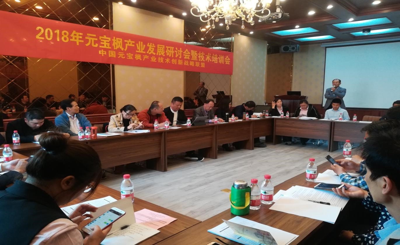 2018年元寶楓產(chǎn)業(yè)發(fā)展研討會暨技術培訓會 在中國元寶楓之鄉(xiāng)山東泗水隆重召開